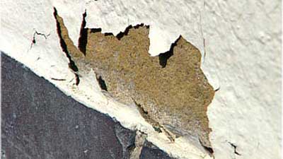 Fassade